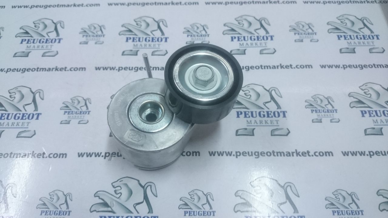 CİTROEN XSARA 1,4 HDI ALTERNATÖR RULMANI KÜTÜKLÜ (Orjinal)