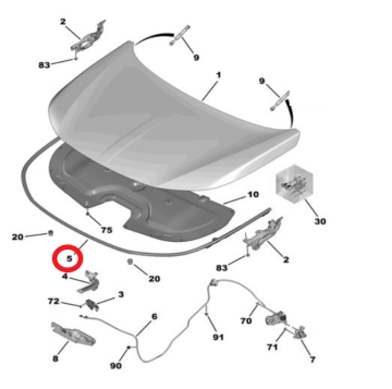 DS7 (2018-2025) Motor Kaput Contası (Orijinal)