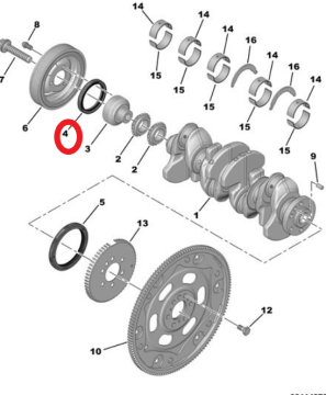 DS9 (2020-2025) 1.6 Turbo Benzinli Krank Keçesi (Orijinal)