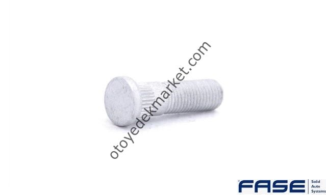Ford Focus (2014-2018) Ön Bijon Saplaması (Fase)