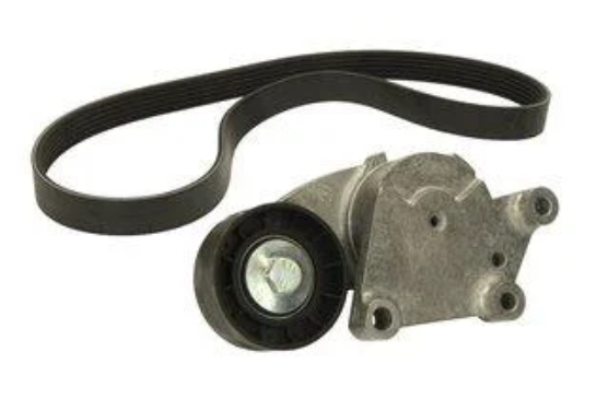 Citroen C2 (2002-2010) 1.4 Hdi Alternatör Rulman ve Kayış Seti (Orijinal Eurorepar)