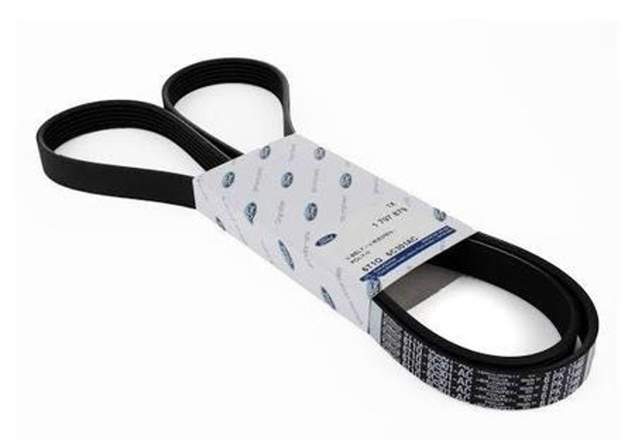 Ford Focus  (2017-2022) 1.5 Tdci Alternatör V Kayışı (Otosan)