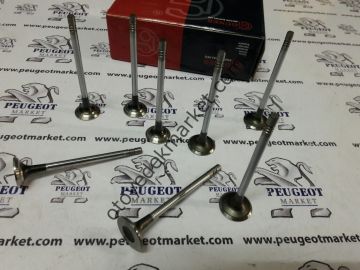 PEUGEOT 206 motor parçaları sildir conta tk conta termostat ve kütüğü triger subap v kayış buji 2 bilya yağ ve flitreler antifiriz 6 sprey