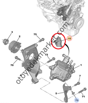 Citroen C4 Picasso (2010-2016) 1.6 Hdi Mazot Pompa Müşürü (İthal)