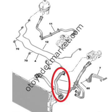 Citroen Berlingo (2019-2025) 1.5 Dizel Su Radyatör Giriş Hortumu (Orijinal)
