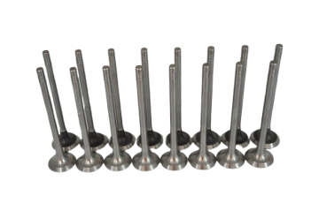 PEUGEOT 306 (1994-2001) 1.8 BENZİNLİ SUBAP TAKIMI (GÜNEŞ)