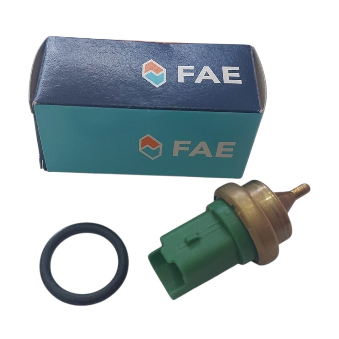 PEUGEOT 207 1.4 BENZİNLİ HARARET MÜŞÜRÜ (FAE)