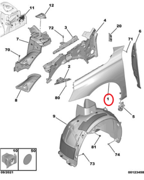 DS9 (2020-2025) Sol Ön Çamurluk (Orijinal)