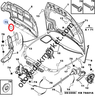 Peugeot 2008 Motor Kaput Keçe Klipsi (Orijinal)