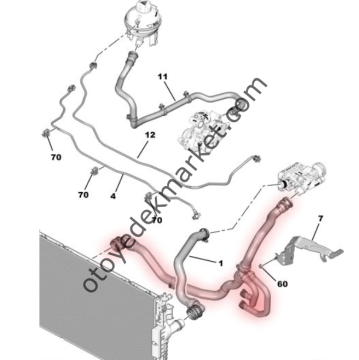 Citroen Berlingo (2018-2025) 1.5 BlueHdi Su Radyatör Çıkış Hortumu (Orijinal)