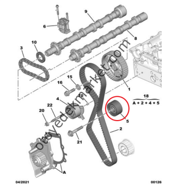 Citroen Jumper (2020-2023) 2.2 Hdi Eksantrik / Triger Rulmanı (Orijinal)