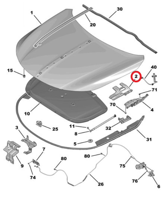 DS9 (2020-2025) Motor Kaputu Sağ Menteşe Takviyesi (Orijinal)