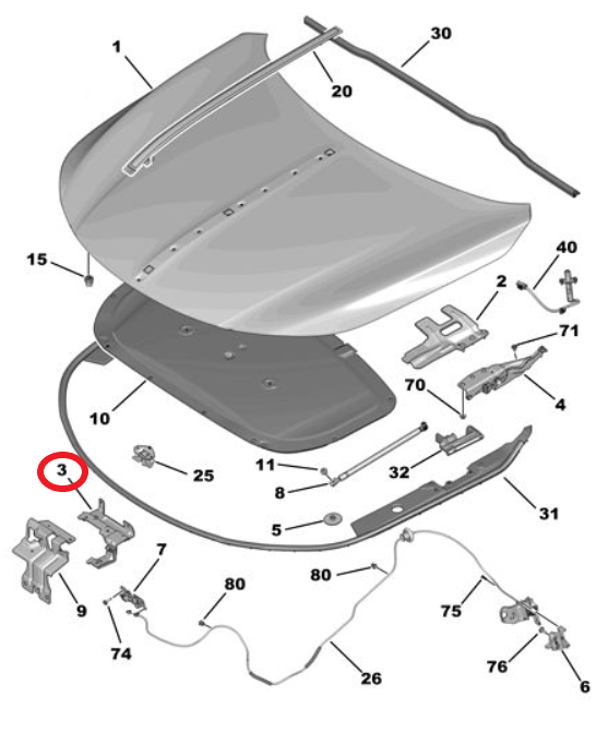 DS9 (2020-2025) Kilit Bağlantı Takviyesi (Orijinal)