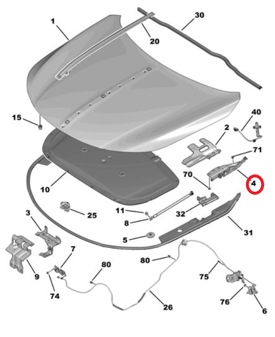 DS9 (2020-2025) Motor Kaputu Sağ Menteşesi (Orijinal)