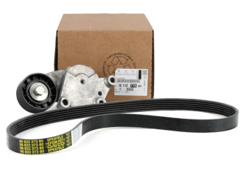 Citroen C4 (2012-2016) 1.6 Hdi  Alternatör Rulman Seti (Orijinal)