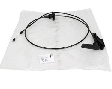 Citroen C4 (2004-2010) Motor Kaput Teli (Orijinal)