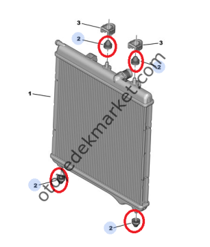 PEUGEOT 407 (2004-2011) 1.6 TURBO RADYATÖR ALT-ÜST LASTİĞİ (İTHAL)