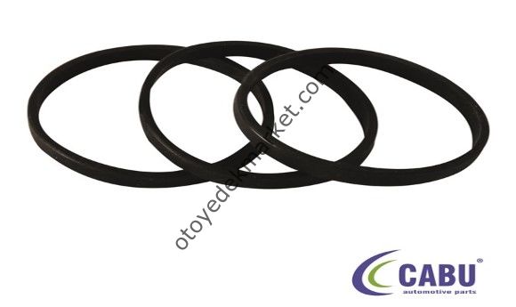 Ford Focus (1998-2003) Termostat Contası 2.0 (Cabu)