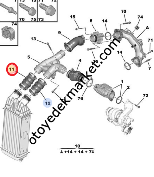 Citroen Cactus (2014-2020) Turbo Radyatör Hortumu (Rapro)