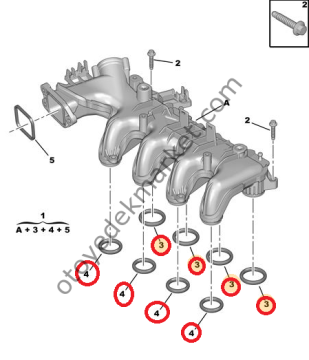 Peugeot Partner (2008-2011) 1.6 Hdi Emme Manifold Conta Takımı (Orjinal)