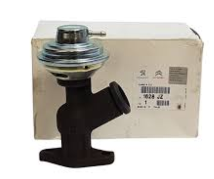 Citroen C5 (2001-2008) 2.0 Hdi Egr Valfi (Orijinal)