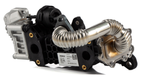 Citroen Berlingo (2020-2025) 1.5 Dizel Egr Soğutucu (Behr)