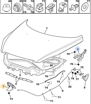 Peugeot 307 (2001-2009) Kaput Menteşesi Sol (İthal)