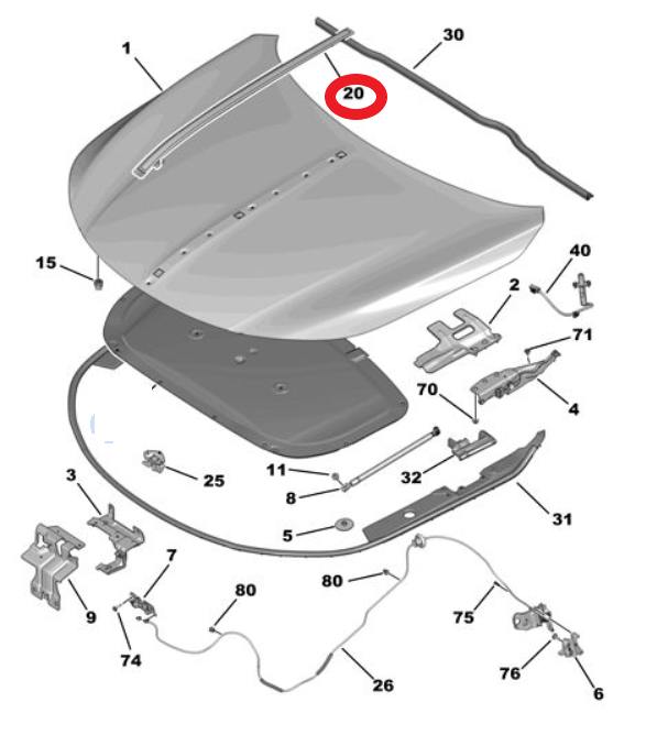 DS9 (2020-2025) Motor Kaput Çıtası (Kahverengi) (Orijinal)
