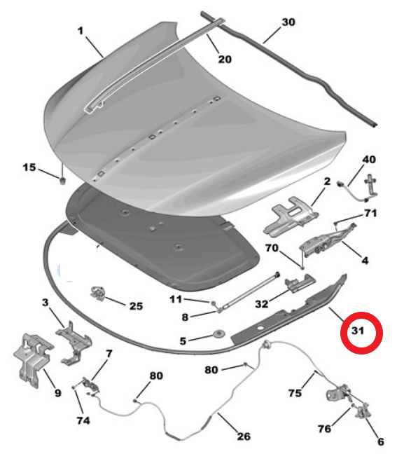 DS9 (2020-2025) Motor Kaput Contası (Orijinal)