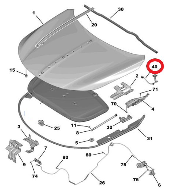 DS9 (2020-2025) Motor Kaput Kaldırma Motoru (Orijinal)