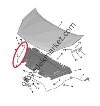 Peugeot Partner Tepee (2009-2018) Kaput Tutma Destek Demiri / Çubuğu (Bitapart)