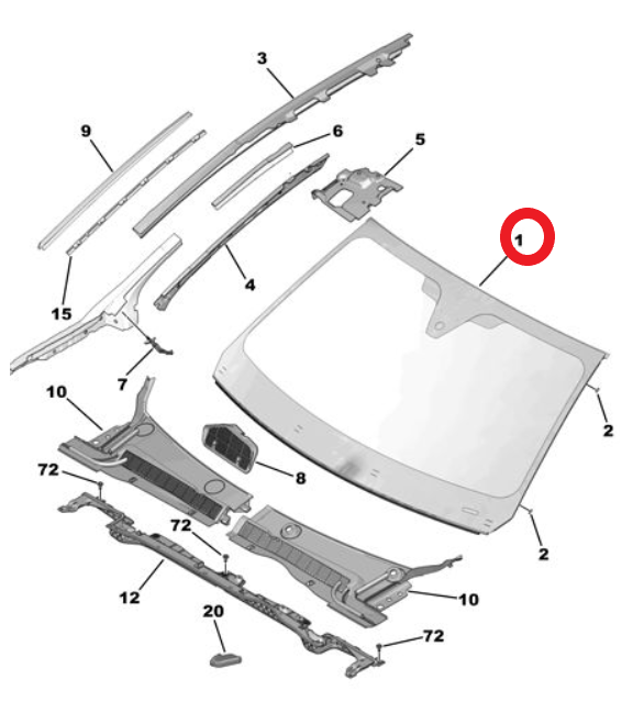 DS9 (2020-2025) Ön Cam (Orijinal)